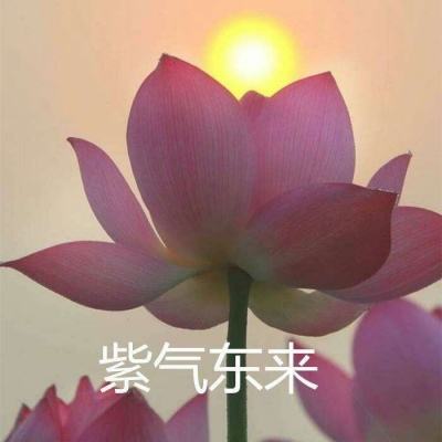 群雄三国bt服下载